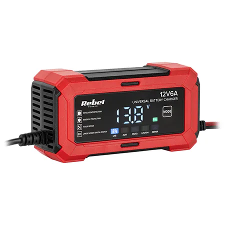 Incarcator Universal AGM LIFEPO4 2-100AH