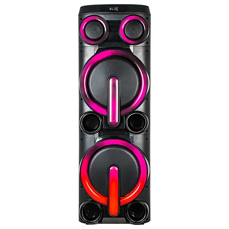 Boxa Portabila 2X10" Bluetooth/Aux/USB + Mic Wireless Uhf