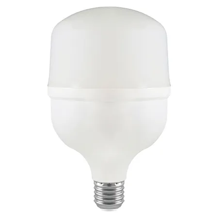 Bec LED T100 E27 30W 6500K Alb Rece
