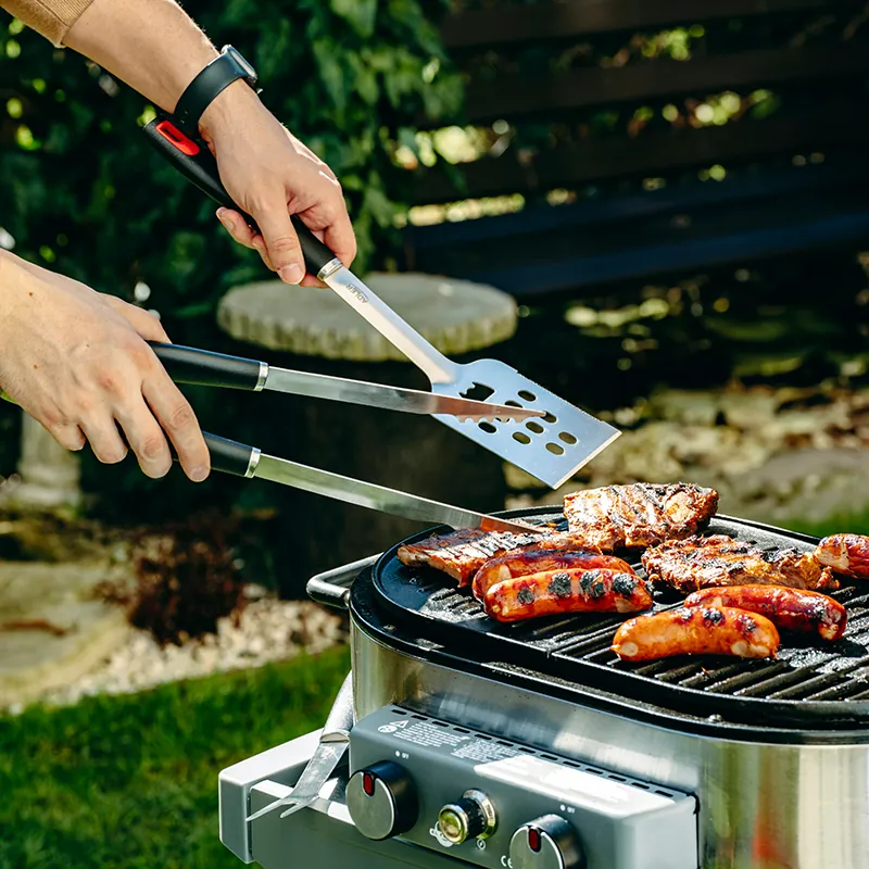 Set Accesorii Grill Inox cu Husa Ad 6727 Adler
