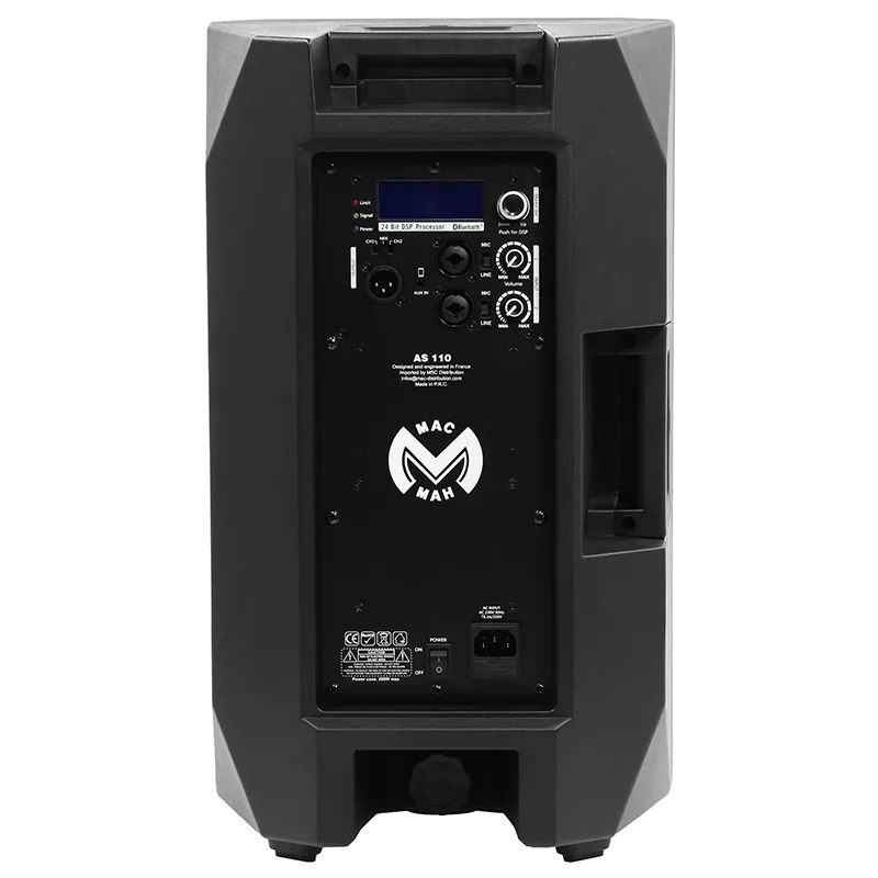 Boxa Activa 2 Cai 10''/25CM Max 300W