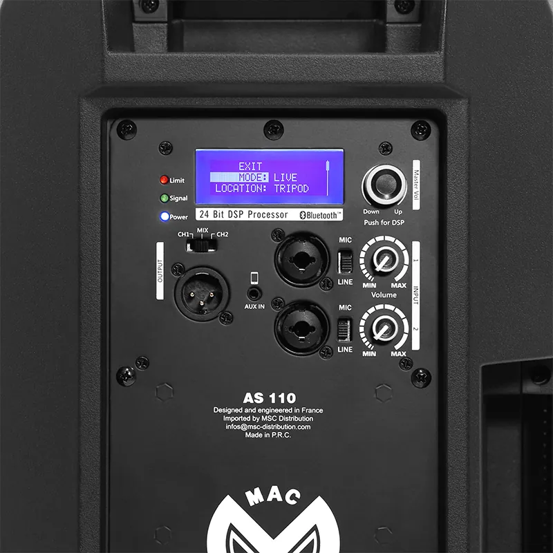 Boxa Activa 2 Cai 10''/25CM Max 300W