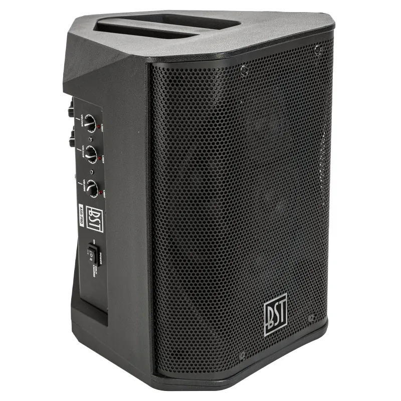 Boxa Activa Profesionala Voce 120W