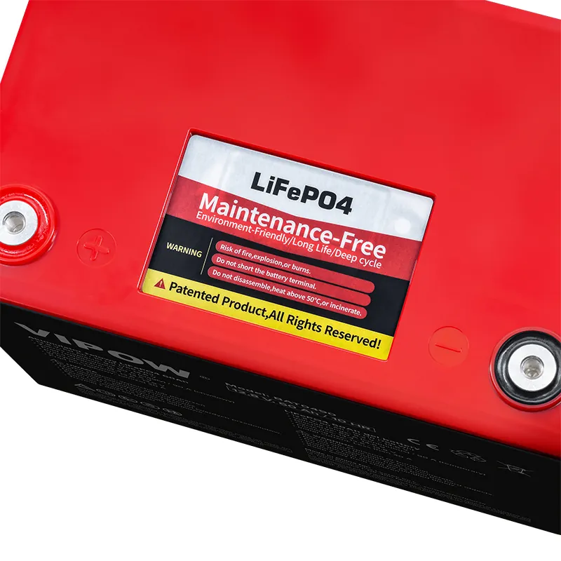 Acumulator LIFEPO4 60AH cu Bms