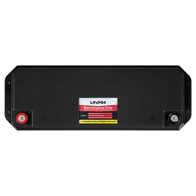 Acumulator LIFEPO4 100AH 25.6V cu Bms Vipow