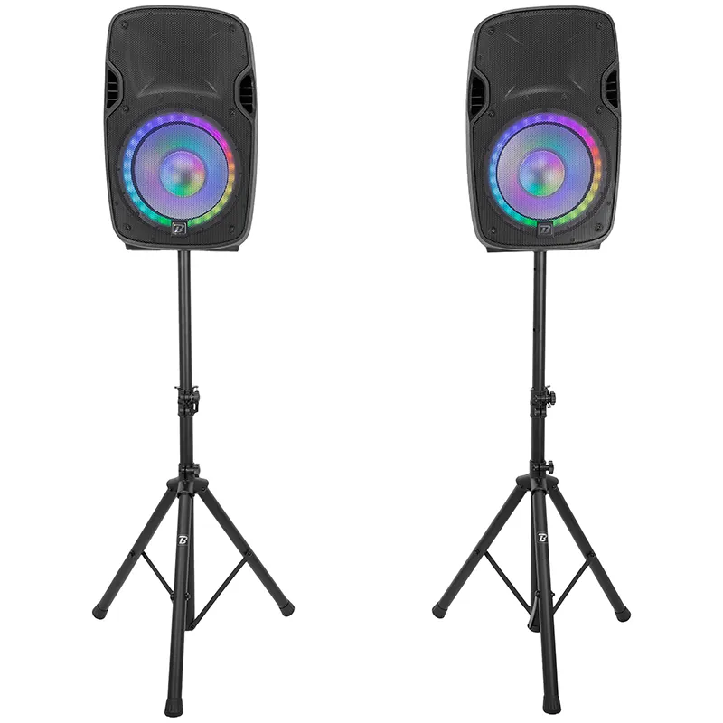 Set Boxe 2X12"/30CM 2X250W RMS 1 Activ + 1 Pasiv USB/SD/BT/FM