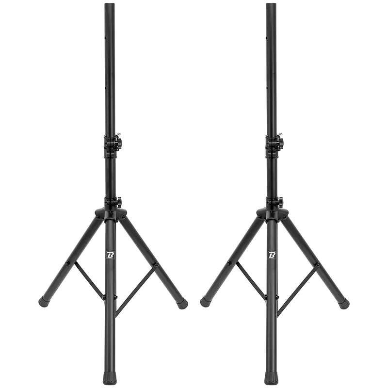 Set Boxe 2X12"/30CM 2X250W RMS 1 Activ + 1 Pasiv USB/SD/BT/FM