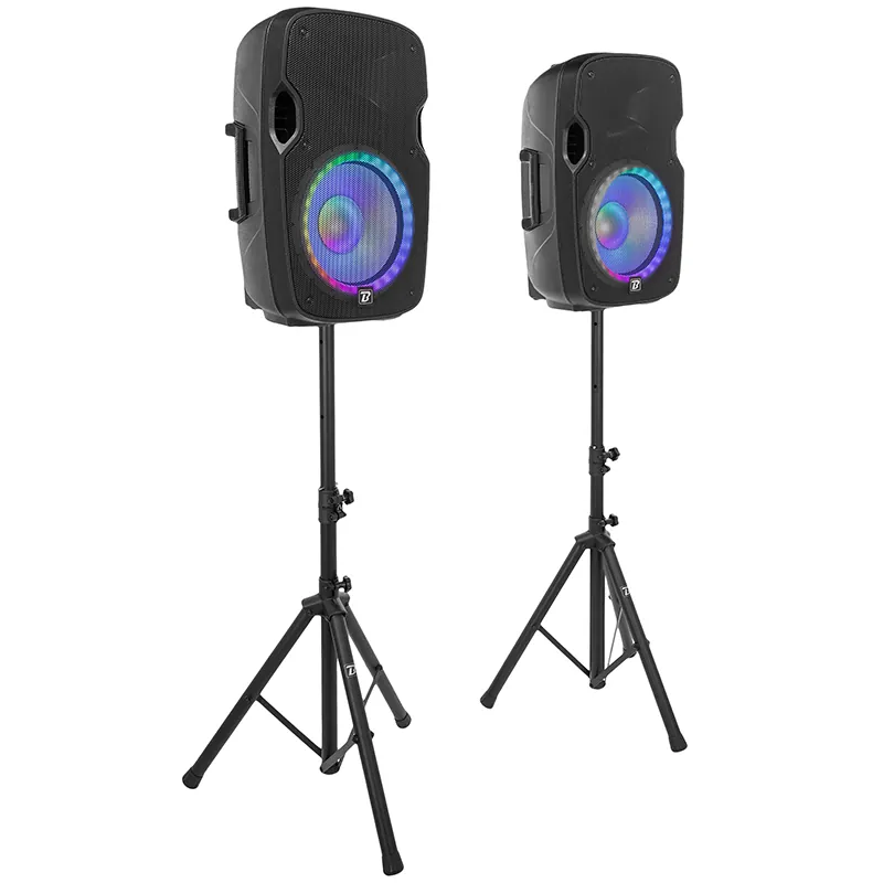 Set Boxe 2X12"/30CM 2X250W RMS 1 Activ + 1 Pasiv USB/SD/BT/FM