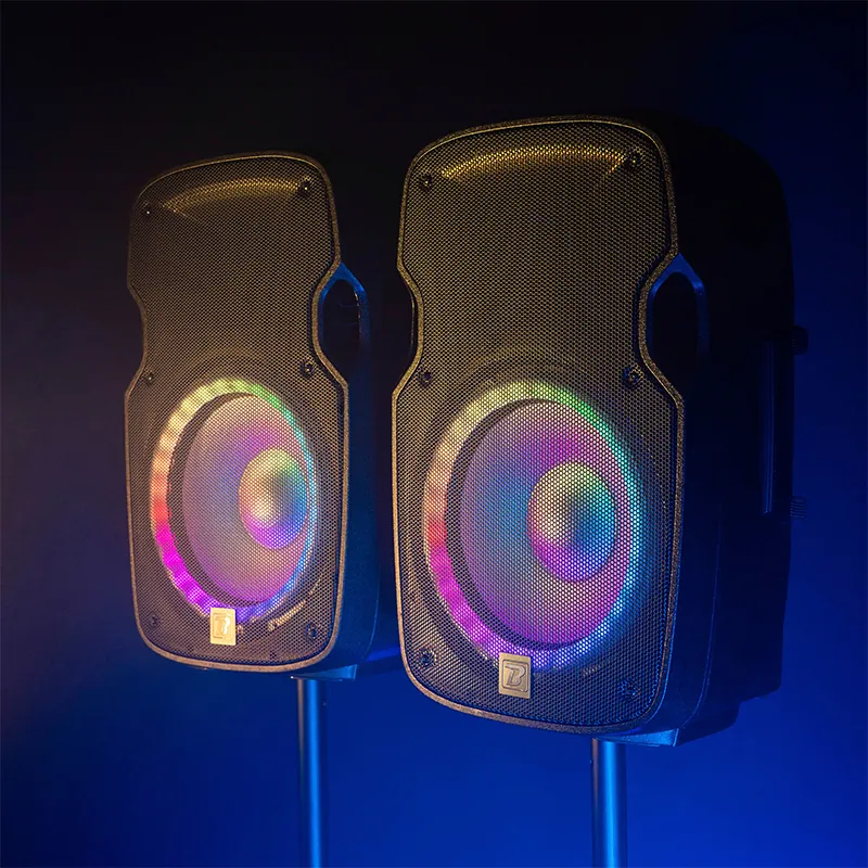 Set Boxe 2X12"/30CM 2X250W RMS 1 Activ + 1 Pasiv USB/SD/BT/FM