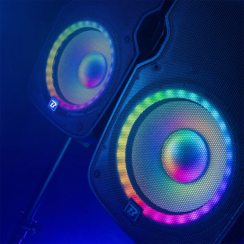 Set Boxe 2X12"/30CM 2X250W RMS 1 Activ + 1 Pasiv USB/SD/BT/FM