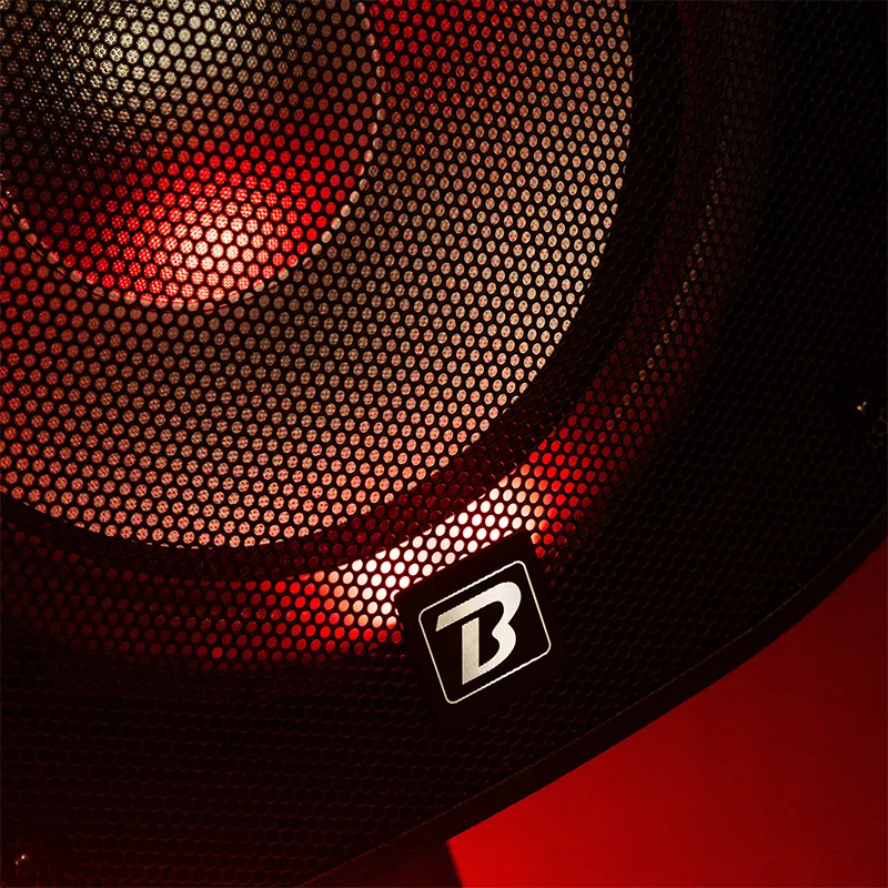 Set Boxe 2X12"/30CM 2X250W RMS 1 Activ + 1 Pasiv USB/SD/BT/FM