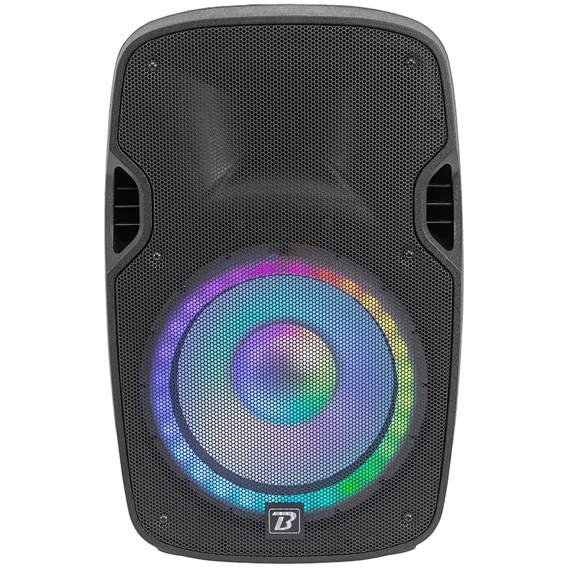 Set Boxe 2X12"/30CM 2X250W RMS 1 Activ + 1 Pasiv USB/SD/BT/FM