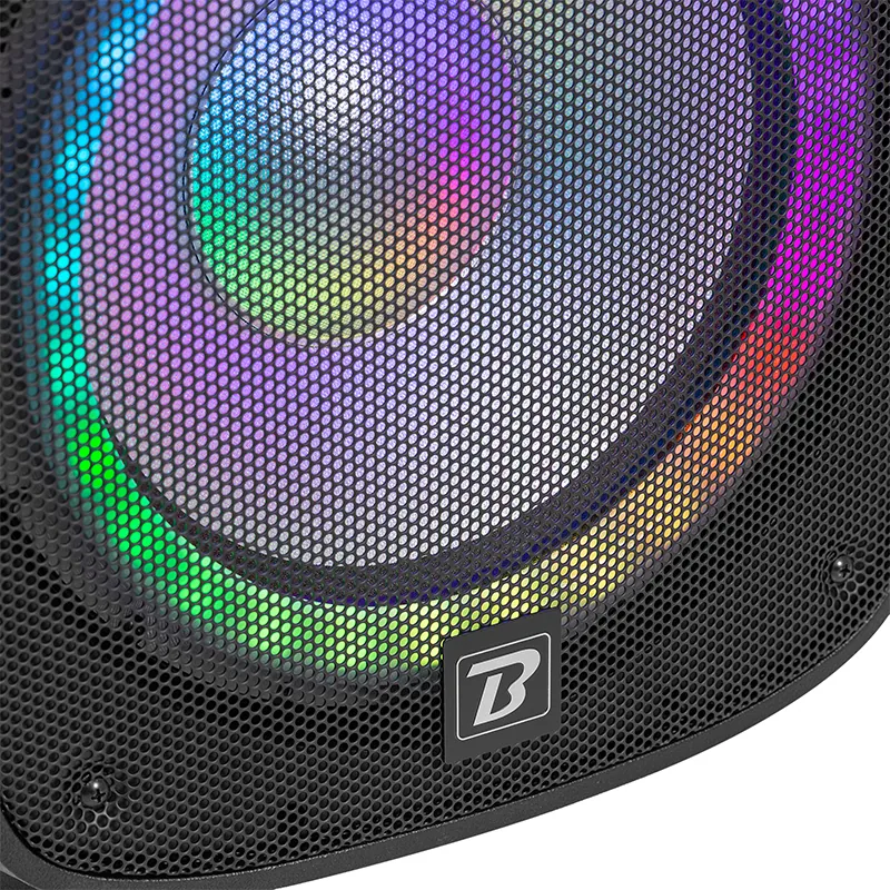 Set Boxe 2X12"/30CM 2X250W RMS 1 Activ + 1 Pasiv USB/SD/BT/FM
