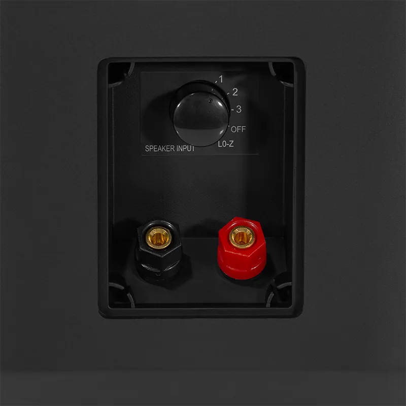 Set Boxe Linie 100W 100V 5/10/20/30W 8OHMI IP66 - Negru