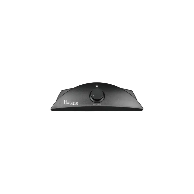 Amplificator Stereo Digital BT Clasa D 2X15W