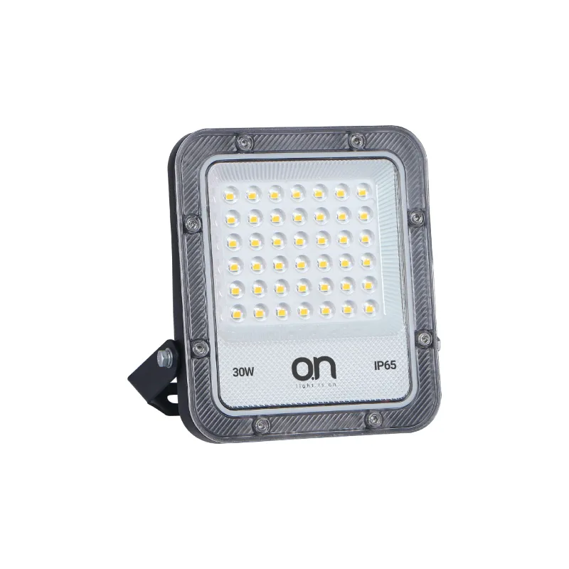 Reflector LED Ic 30W 2700K Night Pro 30