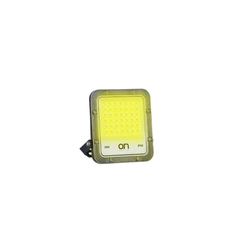 Reflector LED Ic 30W 2700K Night Pro 30