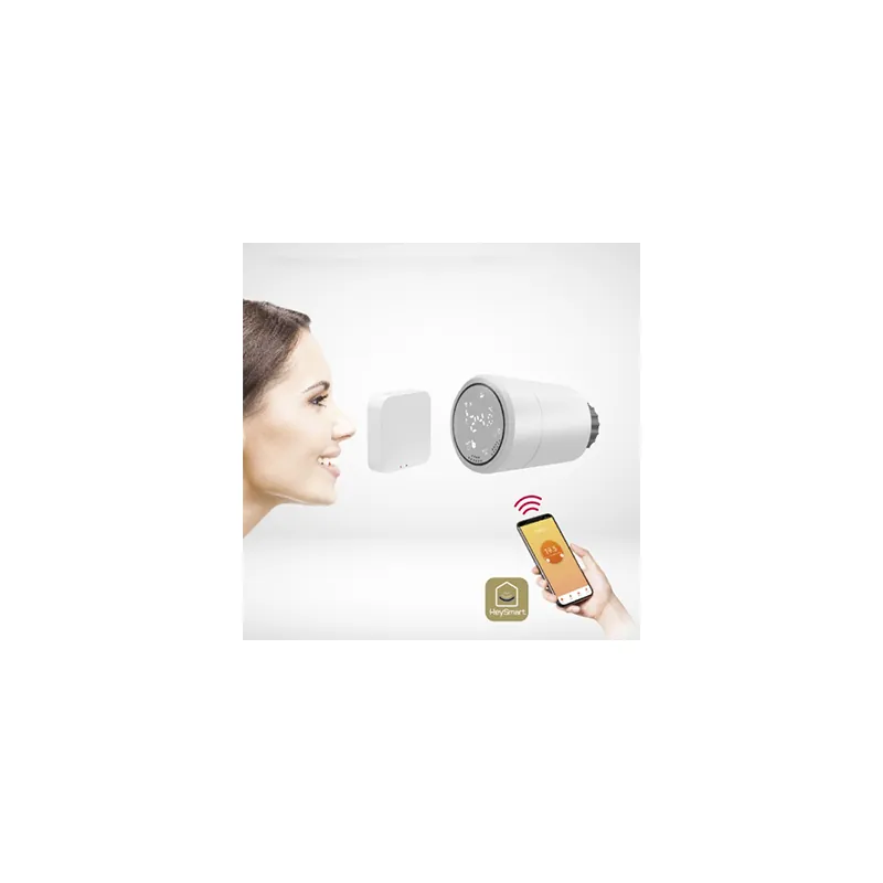 Cap Termostat Smart Gateway Isnatch