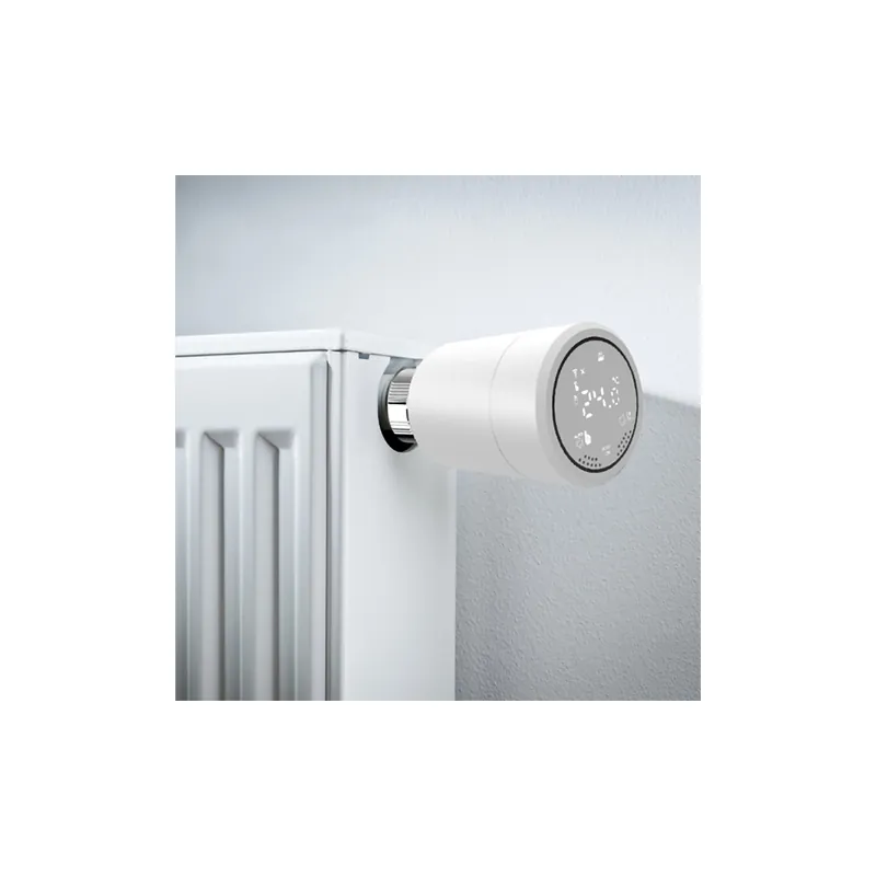 Cap Termostat Smart Isnatch