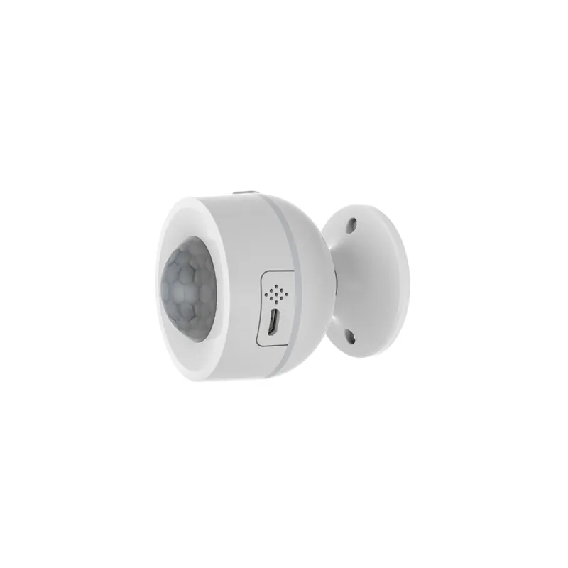 Senzor Smart Wi-Fi Miscare PIR Isnatch