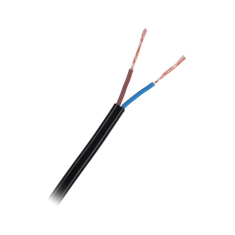 Cablu Electric Omy 2X0.75 300V Negru