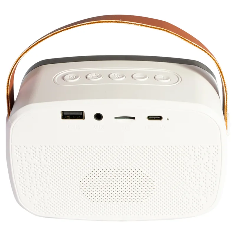 Boxa Portabila Karaoke cu 2 Microfoane Functie BT/USB/TWS