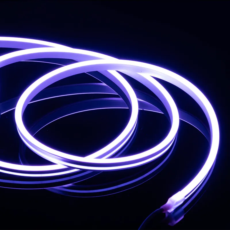 Banda Neonflex 5M IP65 RGB