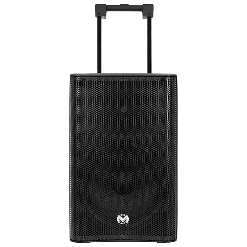 Boxa Portabila 12''/31CM 250W RMS TWS cu BT/USB + 2 Mic Wireless
