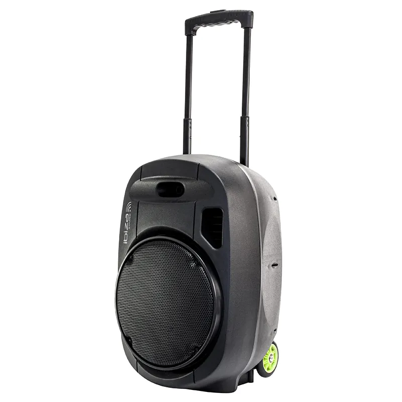 Boxa Portabila 12"/30CM 350W RMS 12/230V USB/MP3