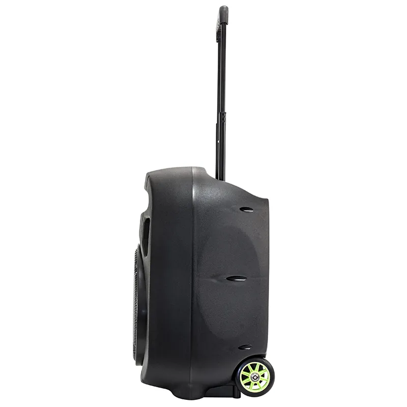 Boxa Portabila 12"/30CM 350W RMS 12/230V USB/MP3