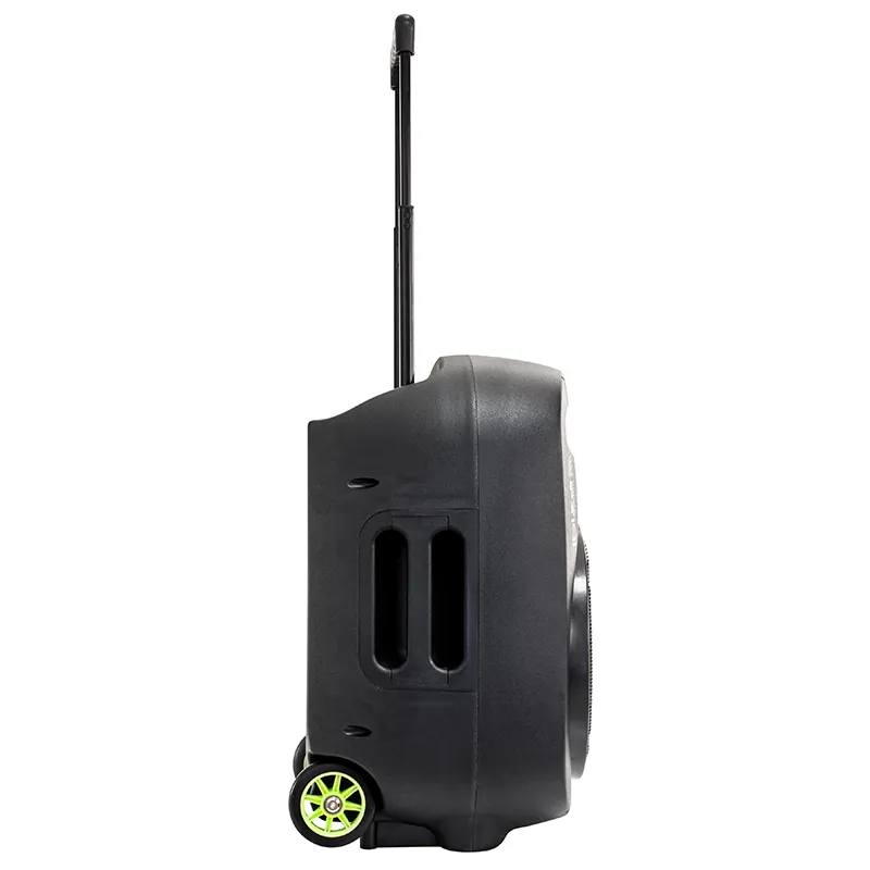 Boxa Portabila 12"/30CM 350W RMS 12/230V USB/MP3