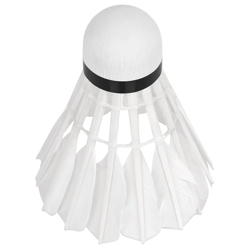 Set 6 Mingi Badminton Rebel Active