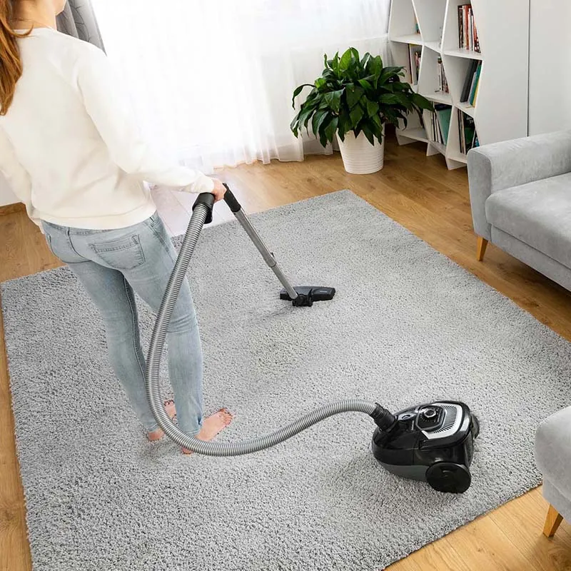 Aspirator cu Sac 700W Sencor