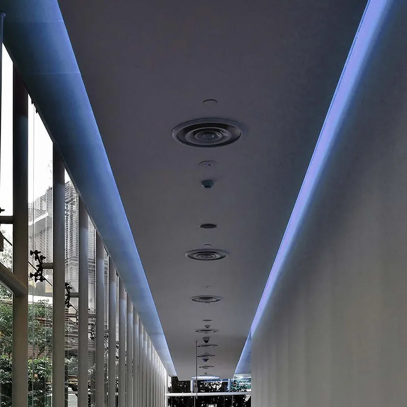 Banda LED SMD3528 60LED/M Albastru IP65 5M