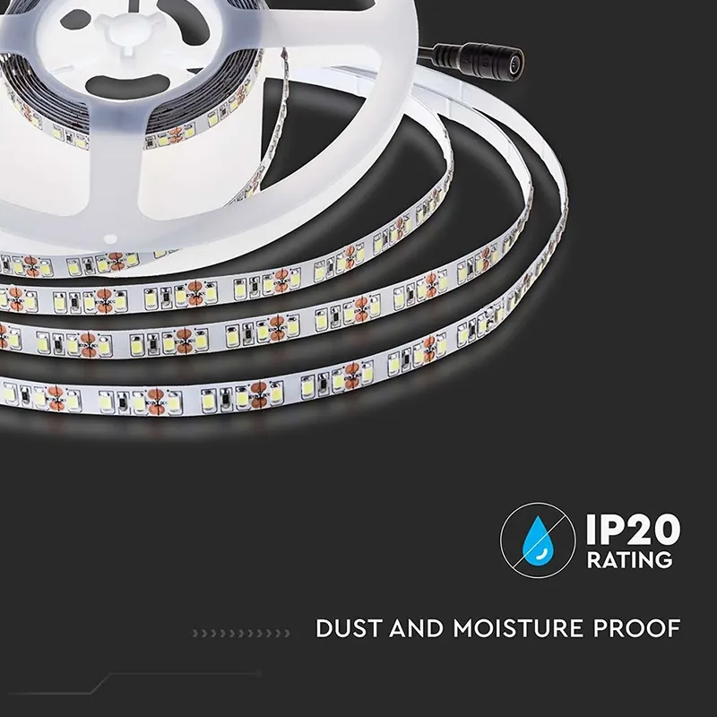 Banda LED SMD2835 24V 6400K IP20 5M