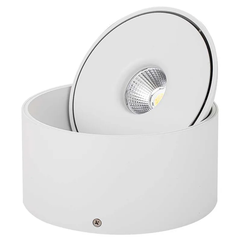 Corp LED Spot COB 20W 3IN1 - Alb