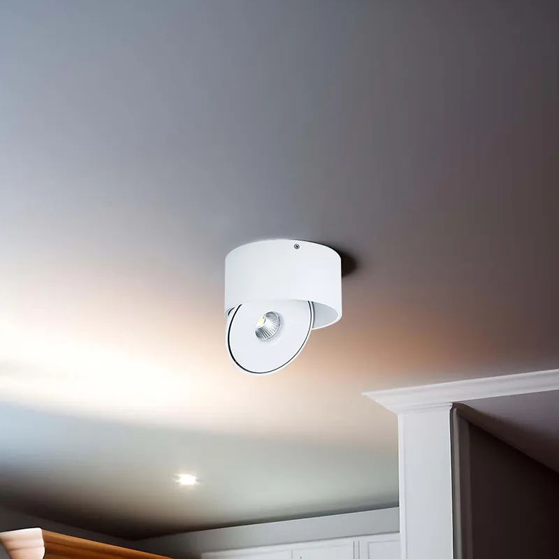 Corp LED Spot COB 20W 3IN1 - Alb
