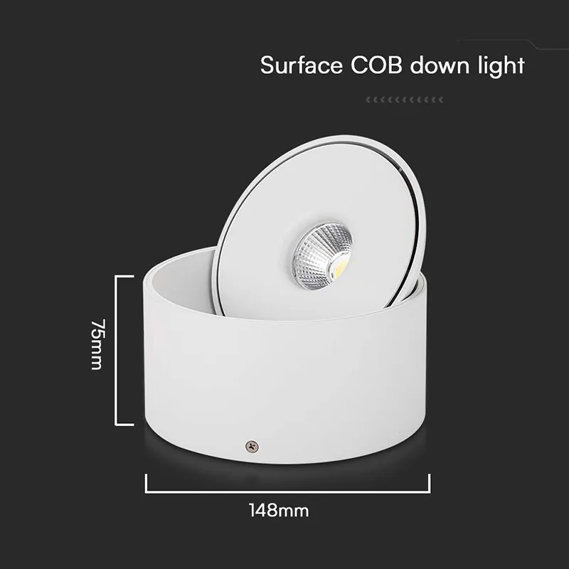 Corp LED Spot COB 20W 3IN1 - Alb