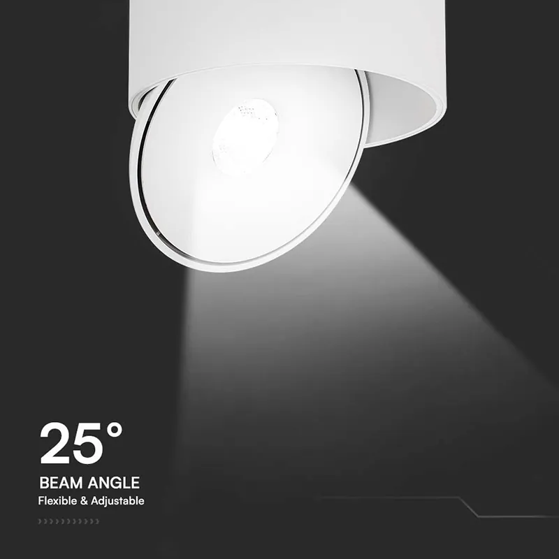Corp LED Spot COB 20W 3IN1 - Alb