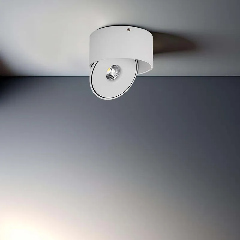 Corp LED Spot COB 20W 3IN1 - Alb