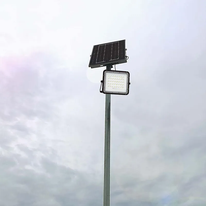 Reflector cu Incarcare Solara 10W 800LM 6400K - Negru