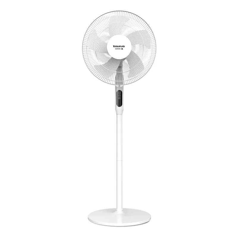 Ventilator cu Picior Ice Brise
