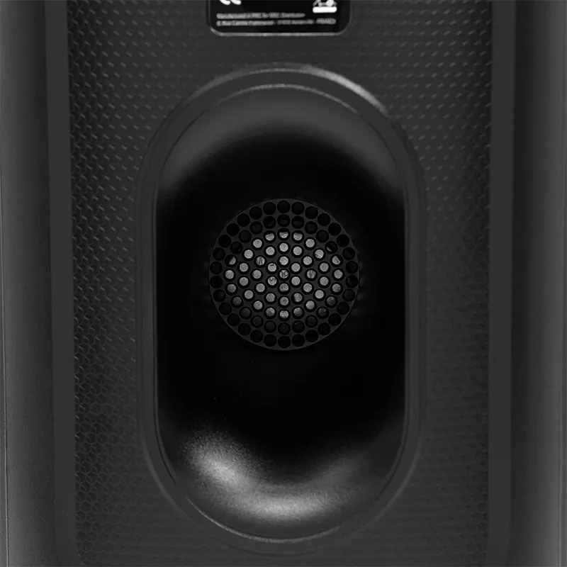 Boxa Portabila 2X8''/20CM cu BT/USB/SD