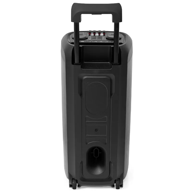 Boxa Portabila 2X8"/20CM 150W RMS