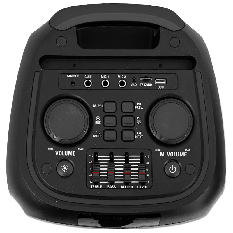 Boxa Portabila 2X8"/20CM 150W RMS