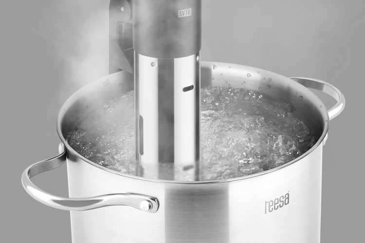 Reglarea temperaturii Aparat gatit sous vide
