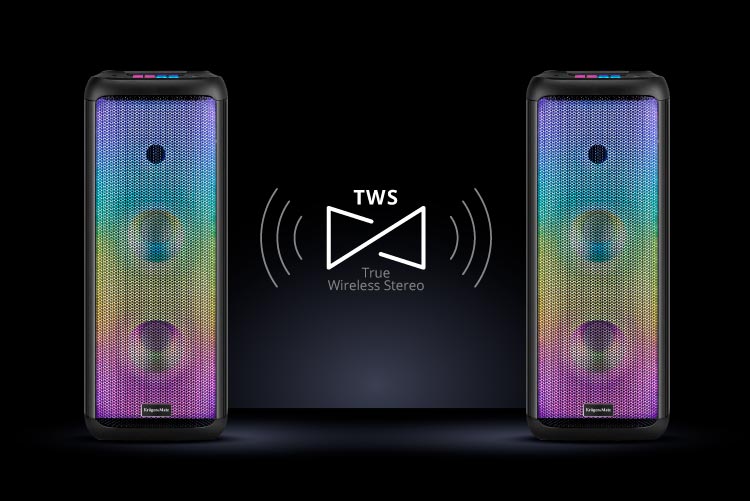 True Wireless Stereo Boxa Bluetooth cu TWS
