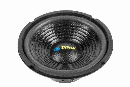 Difuzor 8 inch 8 Ohm Dibeisi DBS-G8003