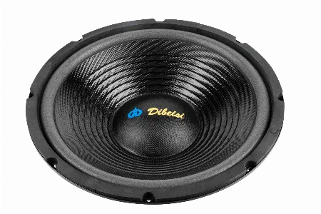 Difuzor 12 inch 8 Ohm Dibeisi DBS-G1202