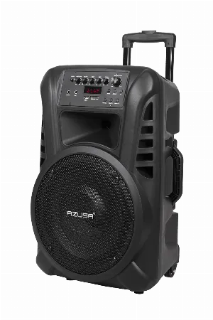 Coloana activa 12 inch 40 W cu 2 microfoane wireless, SD, Bluetooth, USB